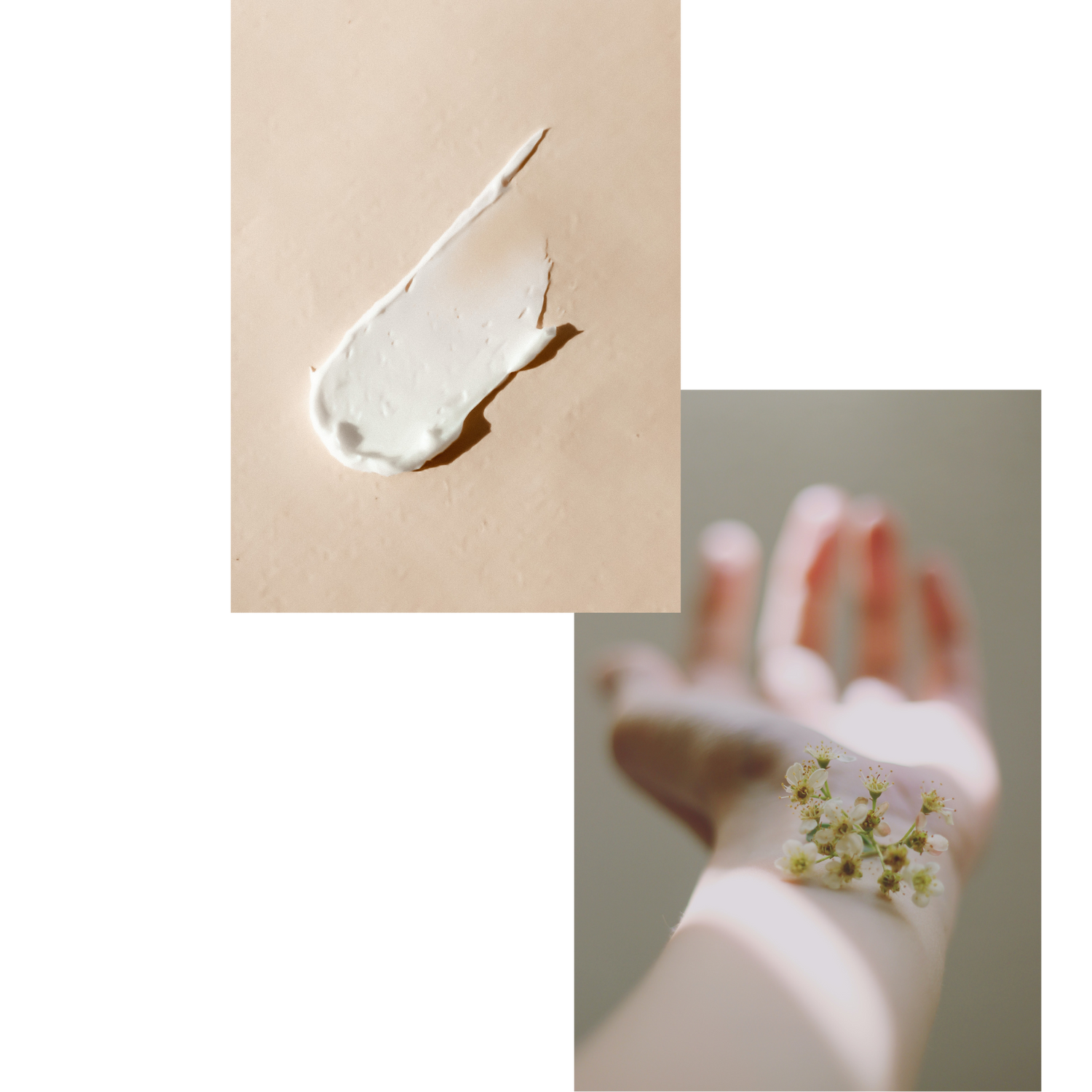 A collage of images: The first is a product spread our onto a beige background. The next is of a arm onto which a flower is placed.