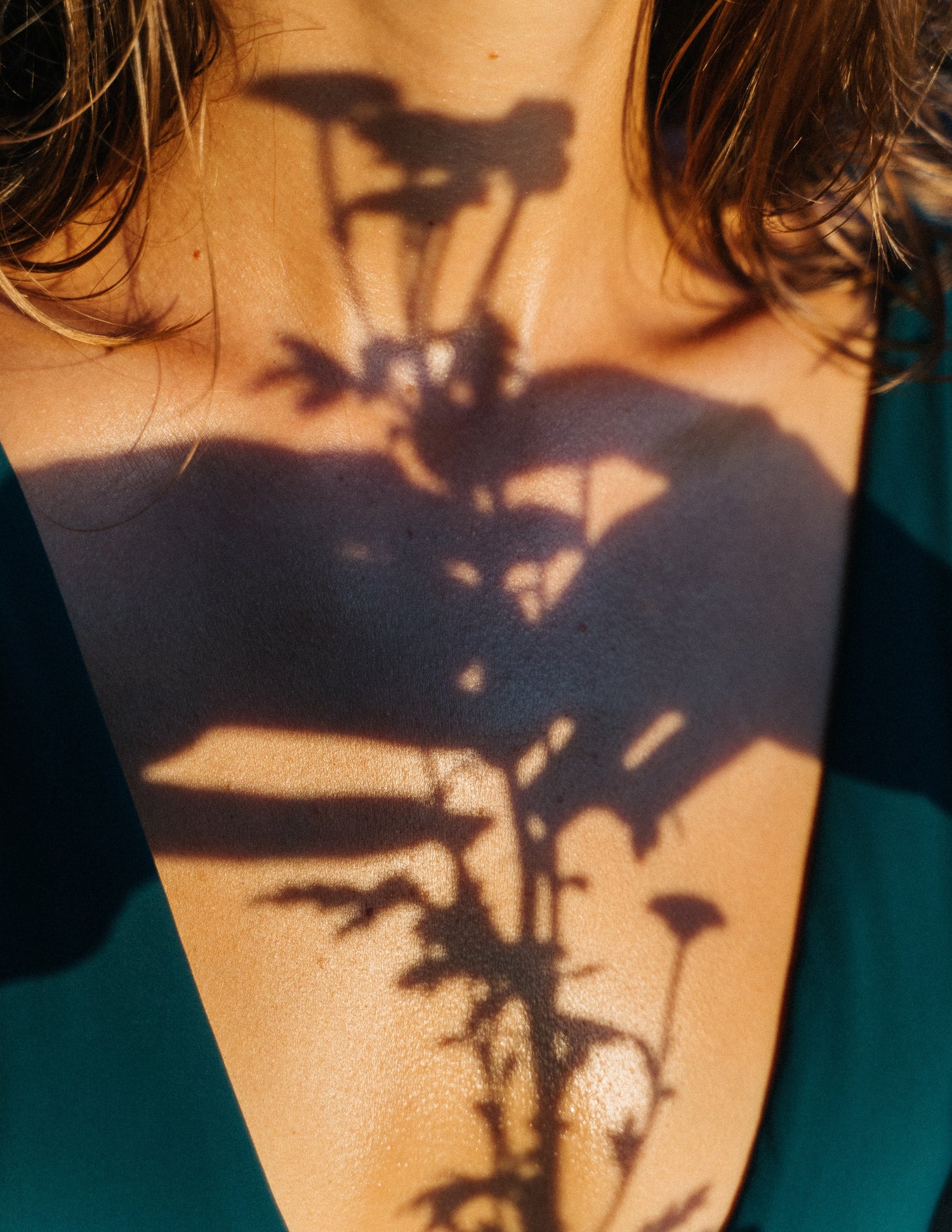 A woman's chest with the shadow of a plant